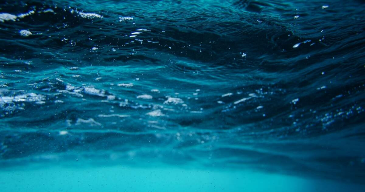 Article Aquaphobie : comment surmonter naturellement la peur de l’eau ?