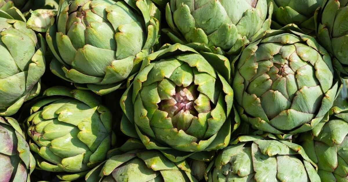 Image pour l'article Artichaut bienfaits : ce légume cache 10 super-pouvoirs pour la santé