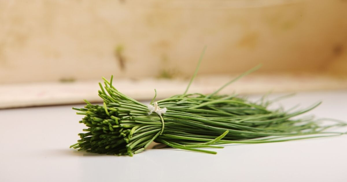 Ciboulette bienfaits : cette herbe aromatique cache 8 propriétés insoupçonnées