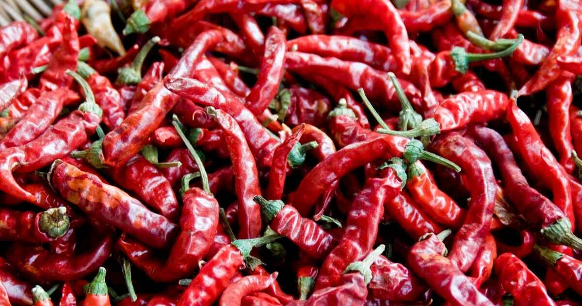 Le piment est-il bon pour la santé ? Ce condiment brûlant cache 8 super-pouvoir insoupçonnés