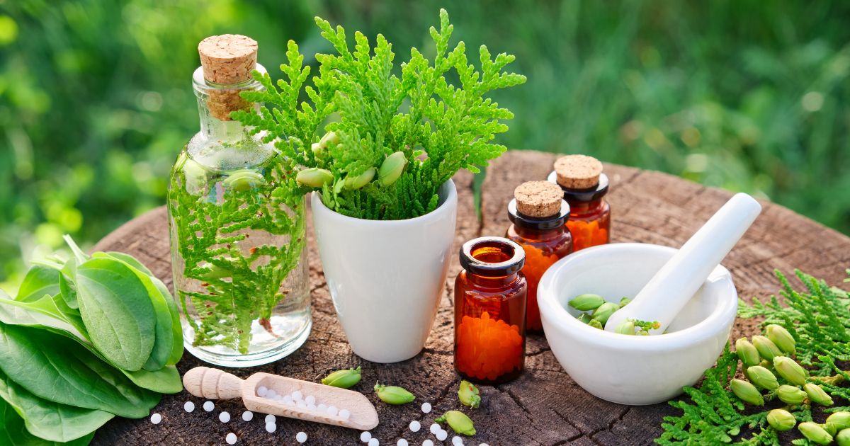 Article Naturopathie : votre nouvelle BFF bien-être
