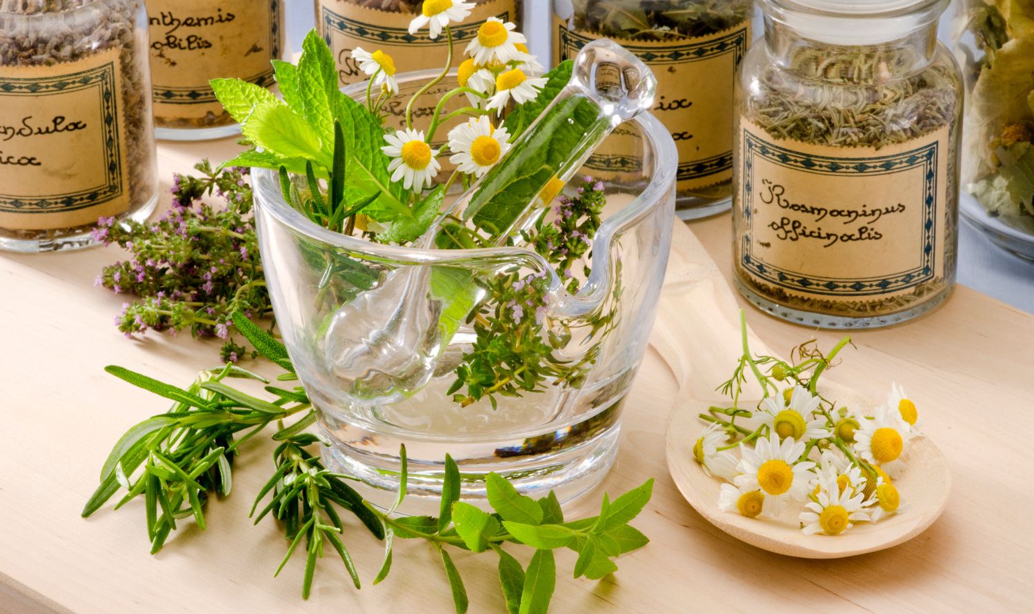Image pour l'article Phytothérapeute